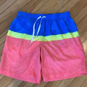 Chubbies Swim Shorts